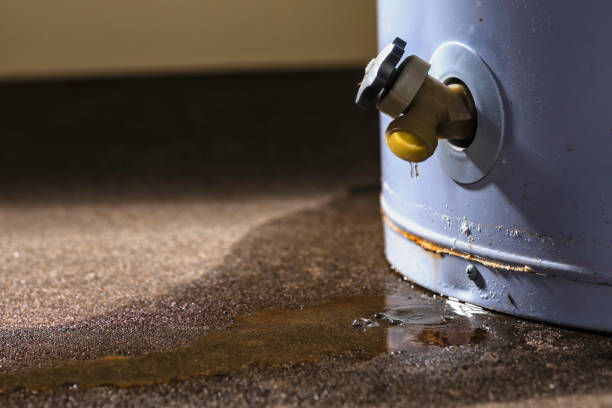 Best Fire Damage Restoration  in Port Neches, TX