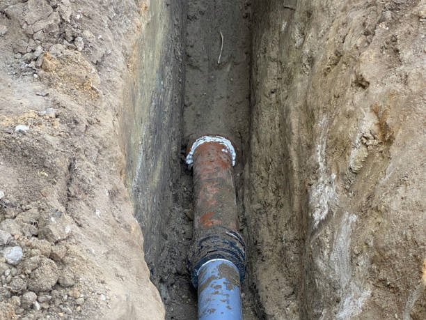 Best Professional water damage repair  in Port Neches, TX