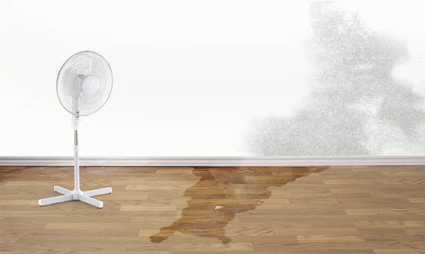 Best 24-hour water damage restoration  in Port Neches, TX