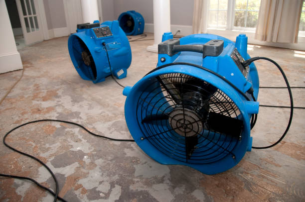 Best 24/7 water damage repair  in Port Neches, TX