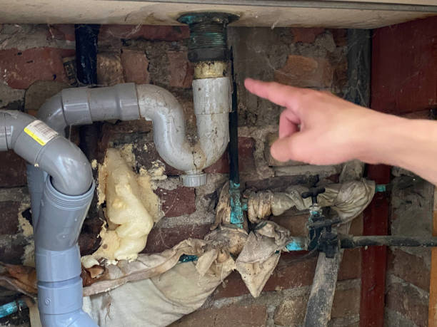 Best Water damage restoration experts  in Port Neches, TX