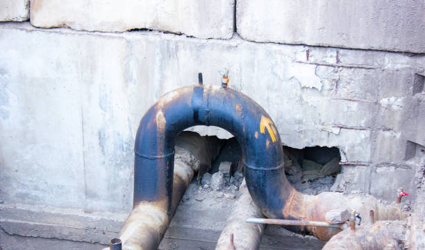 Best Water damage contractors near me  in Port Neches, TX